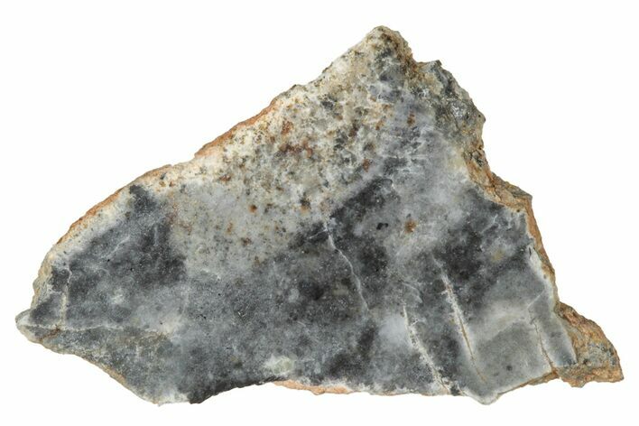 Lunar Meteorite ( g) Slice - Bechar #348220
